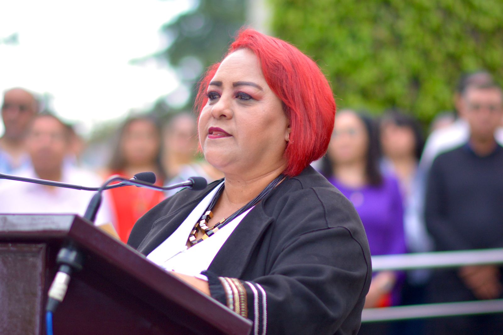 Conmemora Congreso2