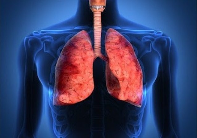 La tuberculosis