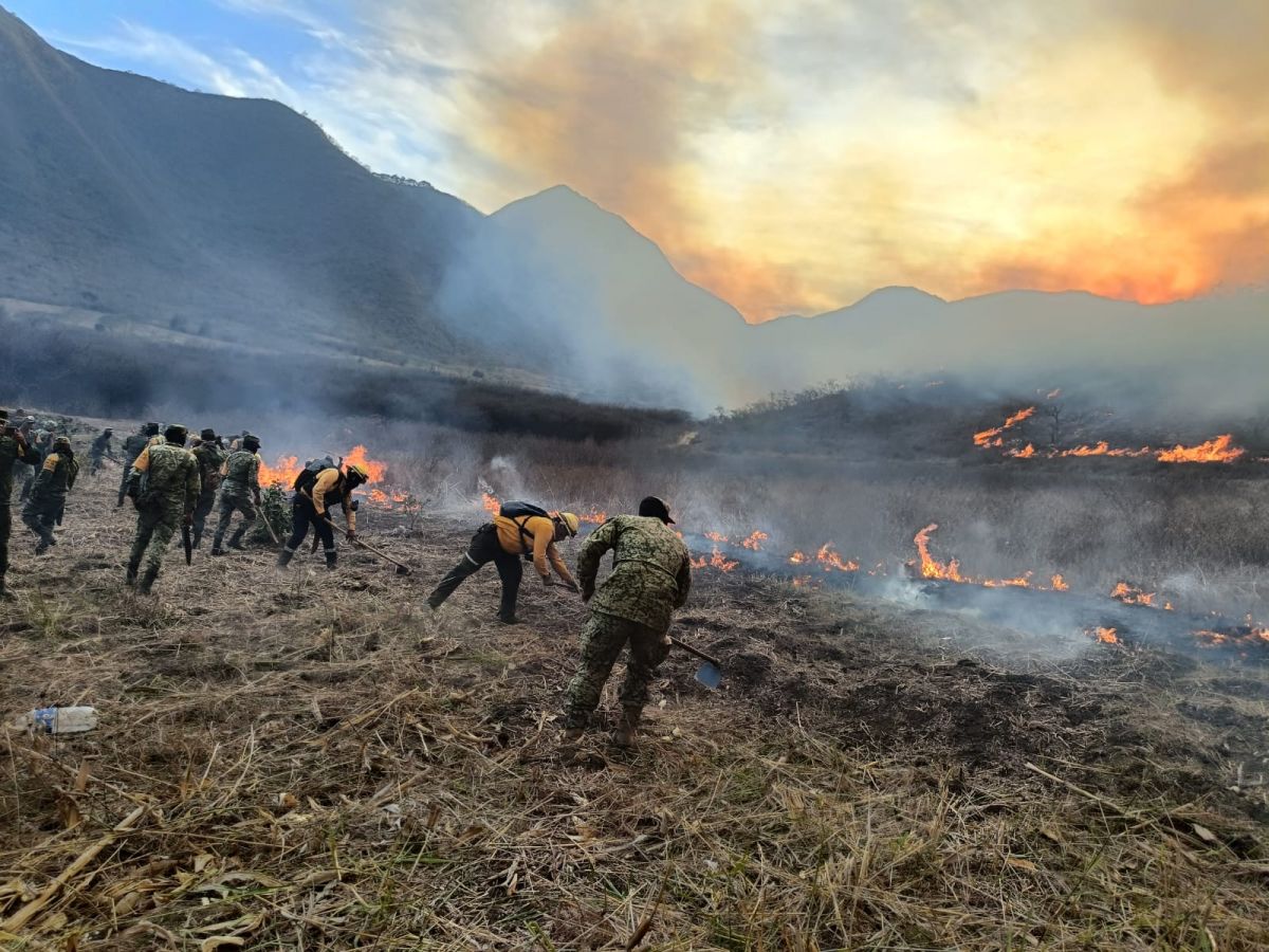 El Heraldo De Poza Rica Aumentan A Siete Los Incendios Forestales