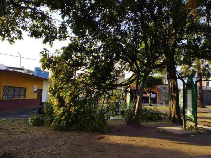 Surada causa