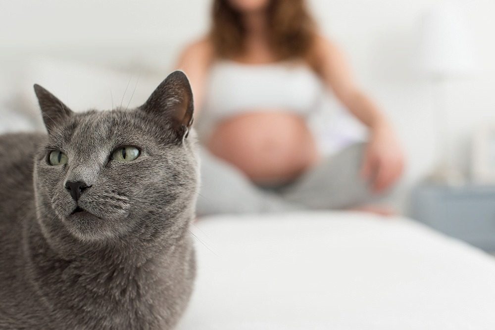Toxoplasmosis