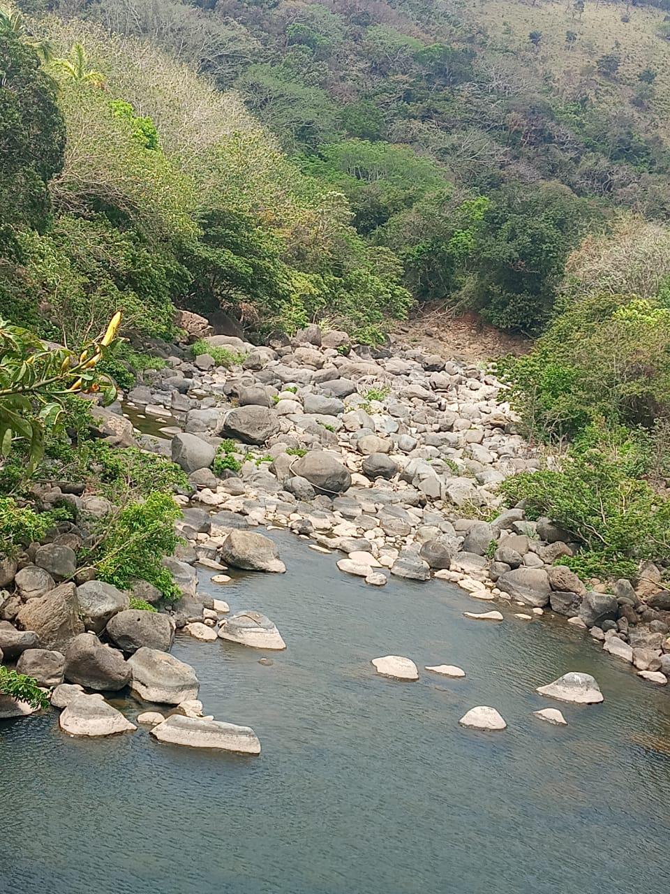 Bajan niveles