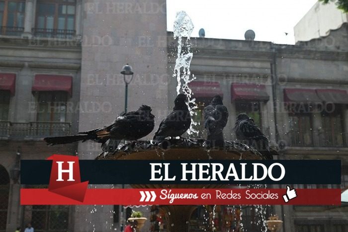 Cuándo desaparece1