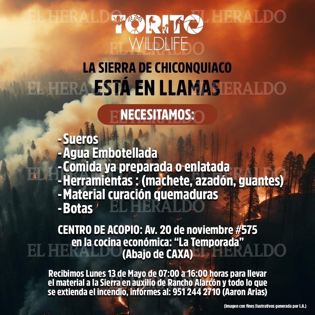 INCENDIOS2