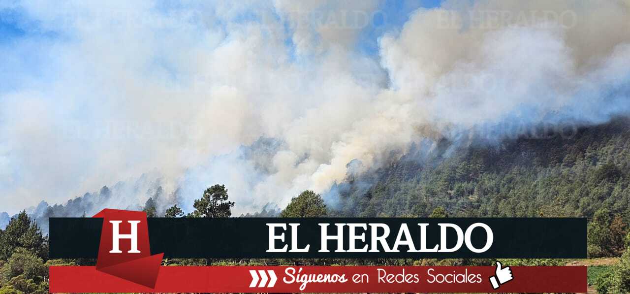 15INCENDIOS