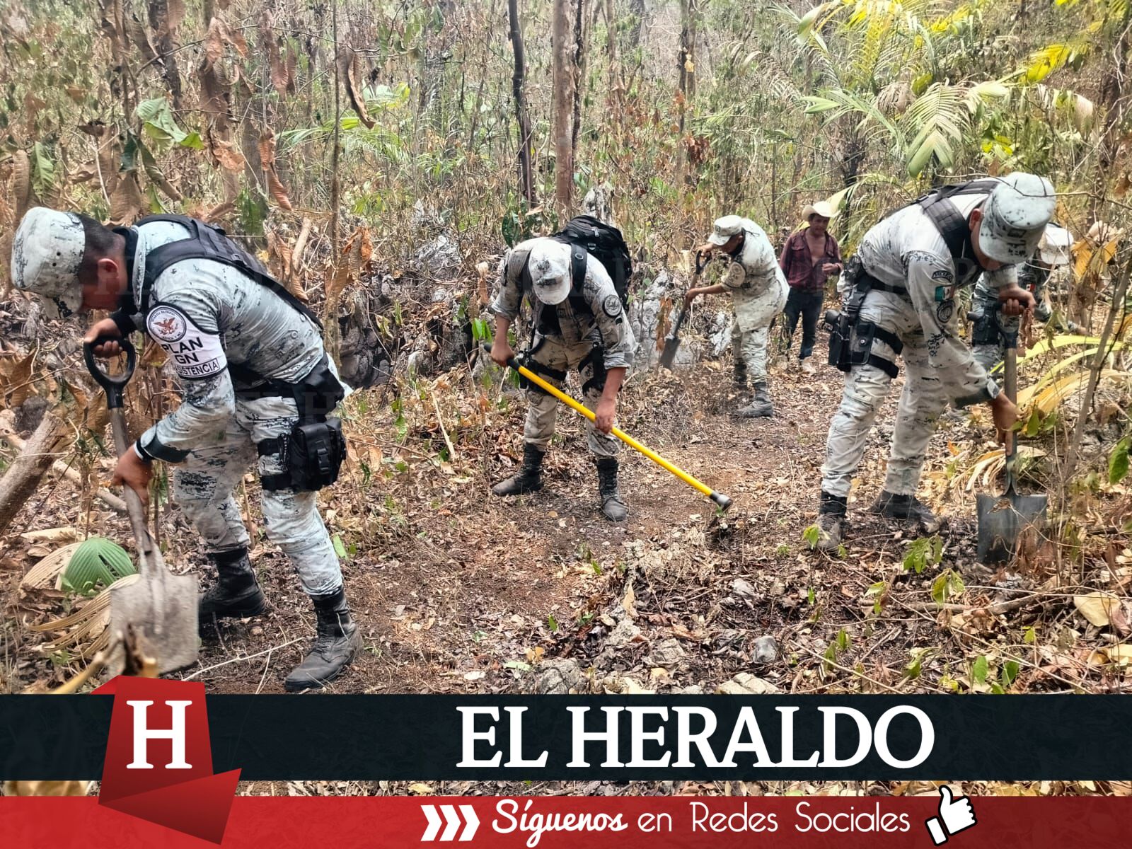 Se reactivó incendio en Uxpanapa más de mil 500 hectáreas afectadas hasta el momento 2