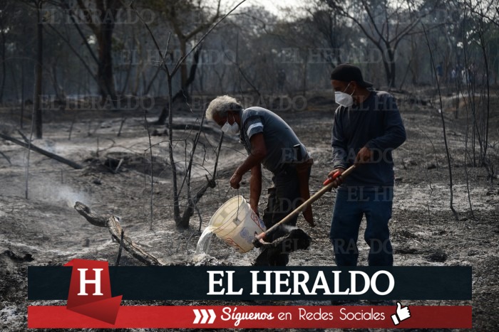 En dos meses se interponen 10 denuncias contra personas que iniciaron incendios en zonas federales