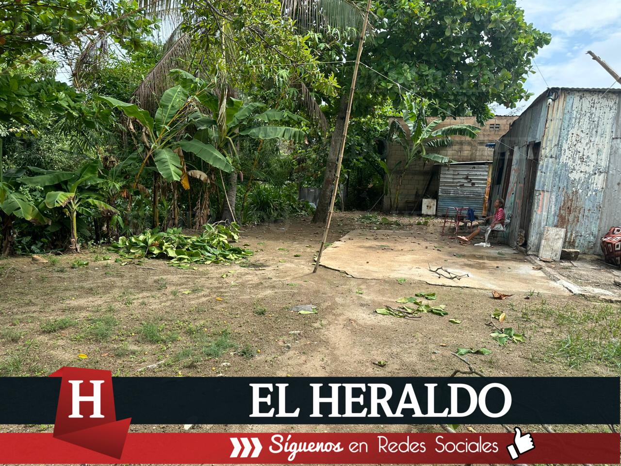 Vecinos de la colonia Progreso y Paz temen por par de cocodrilos en el canal 3