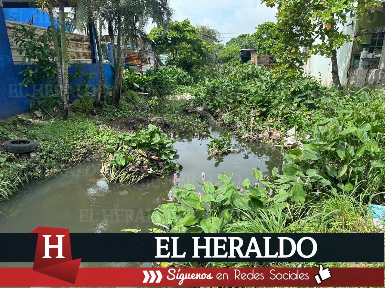 Vecinos de la colonia Progreso y Paz temen por par de cocodrilos en el canal 7