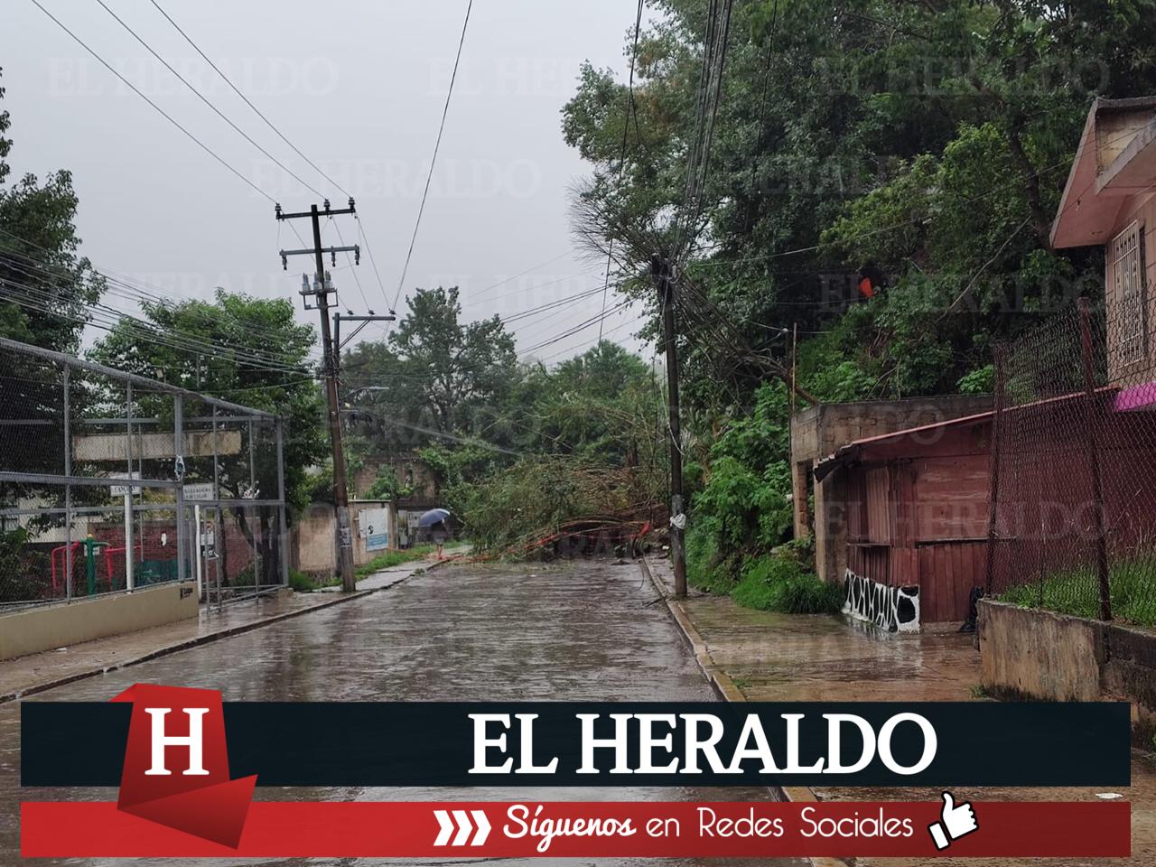 VECINOS