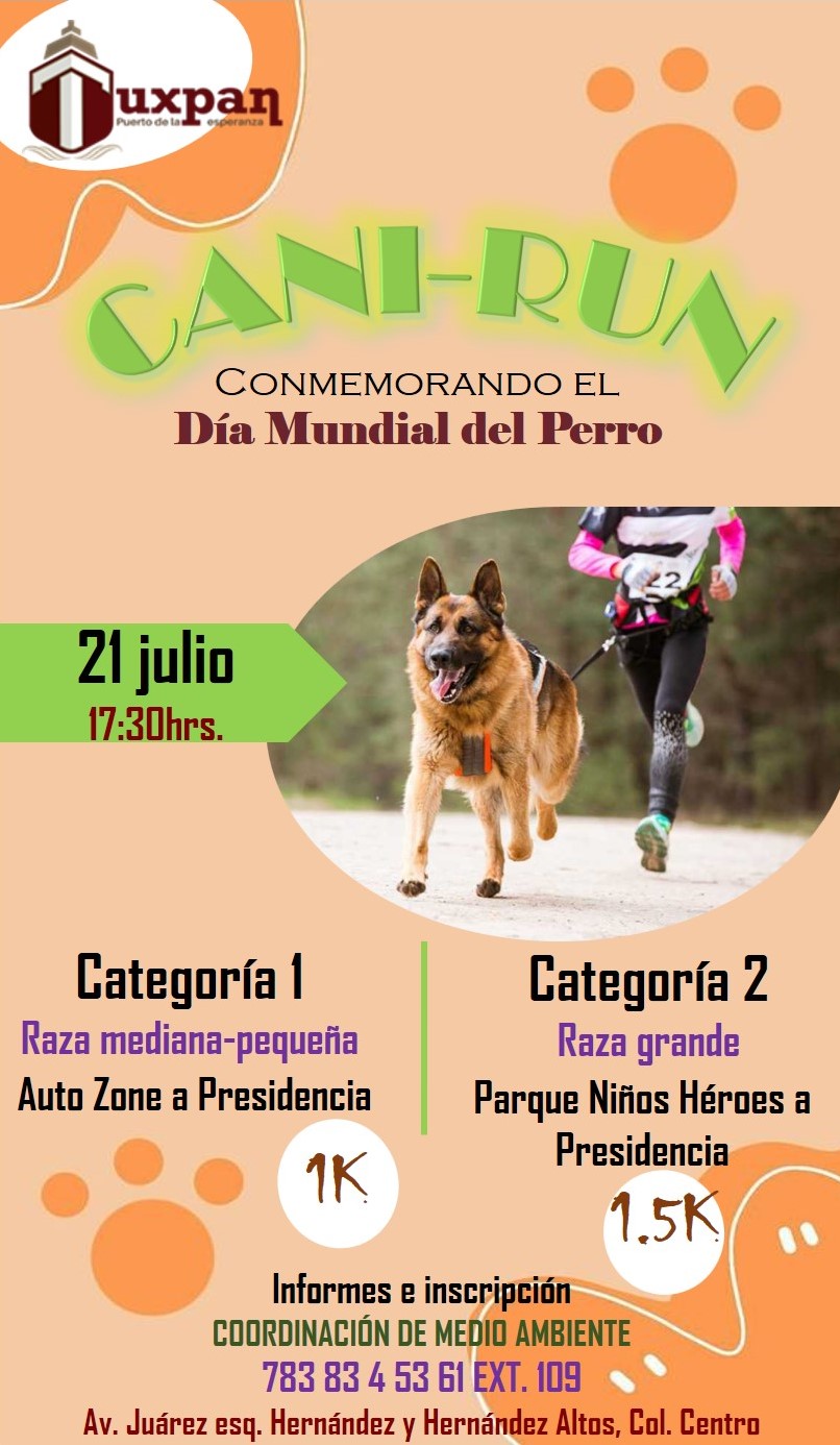 perro2
