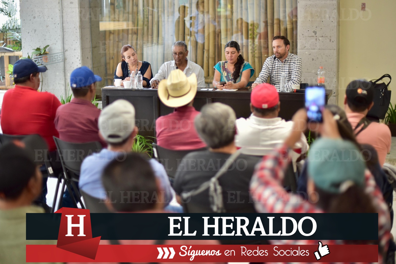 Acerca Diputado atención del RAN