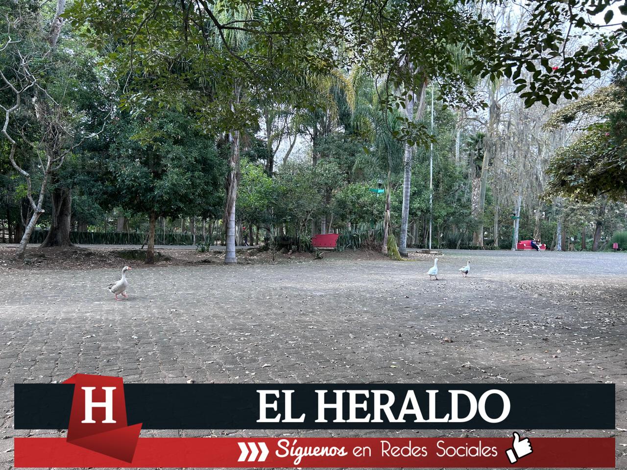 VECINOS