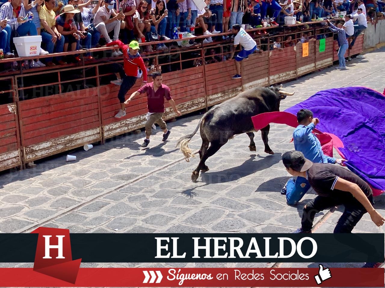 Animalistas de Veracruz exigen sanciones contra quienes realicen corridas de toros 2