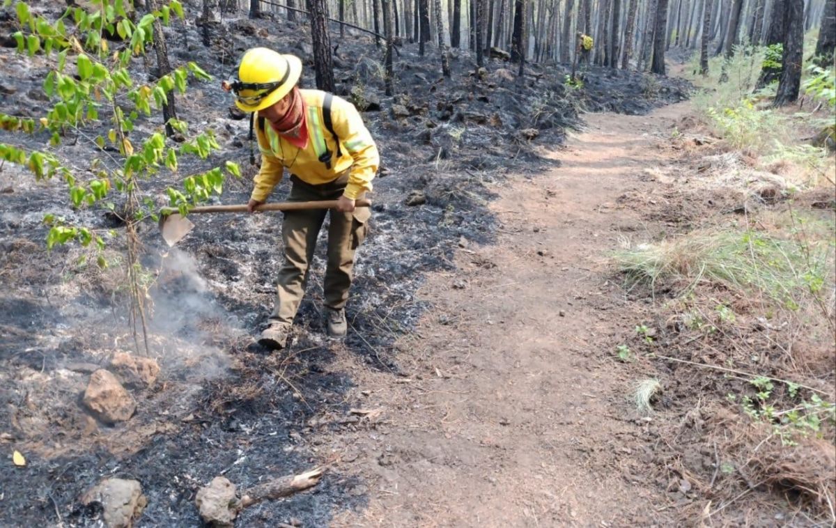 Activos tres incendios forestales