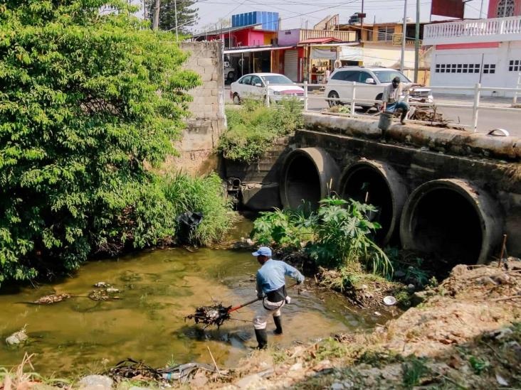 Realizan faena para desazolvar el arroyo