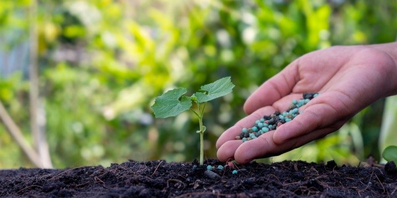 Poza Rica volverá a ser polo de desarrollo