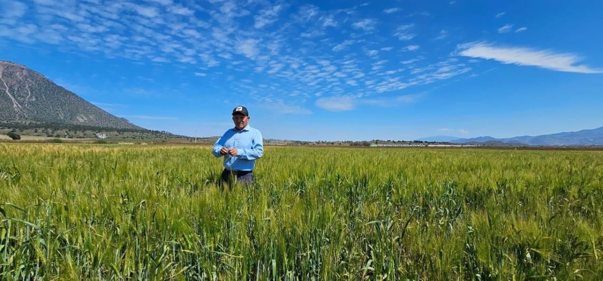 Sembrarán 41 hectáreas de cultivos agrícolas