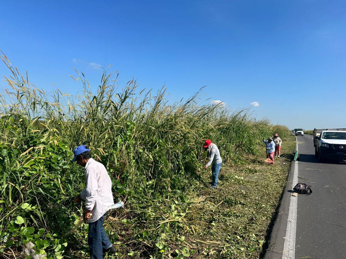 Limpian acotamientos de carretera