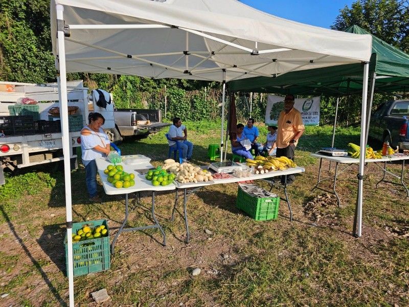 Productos orgánicos en Tianguis Campesino