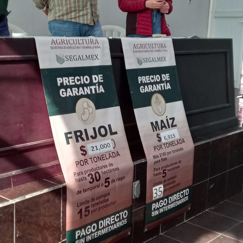 Habrá precio fijo para el maíz y frijol