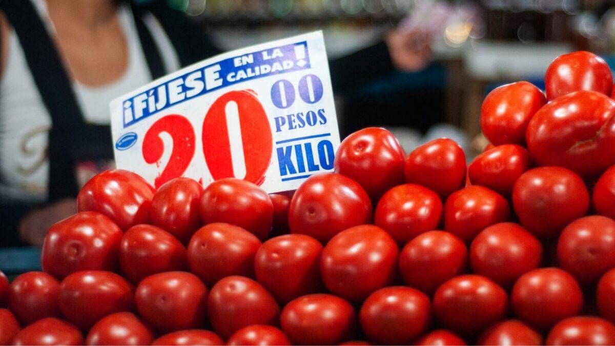 Cae 12% exportación de jitomate a EU