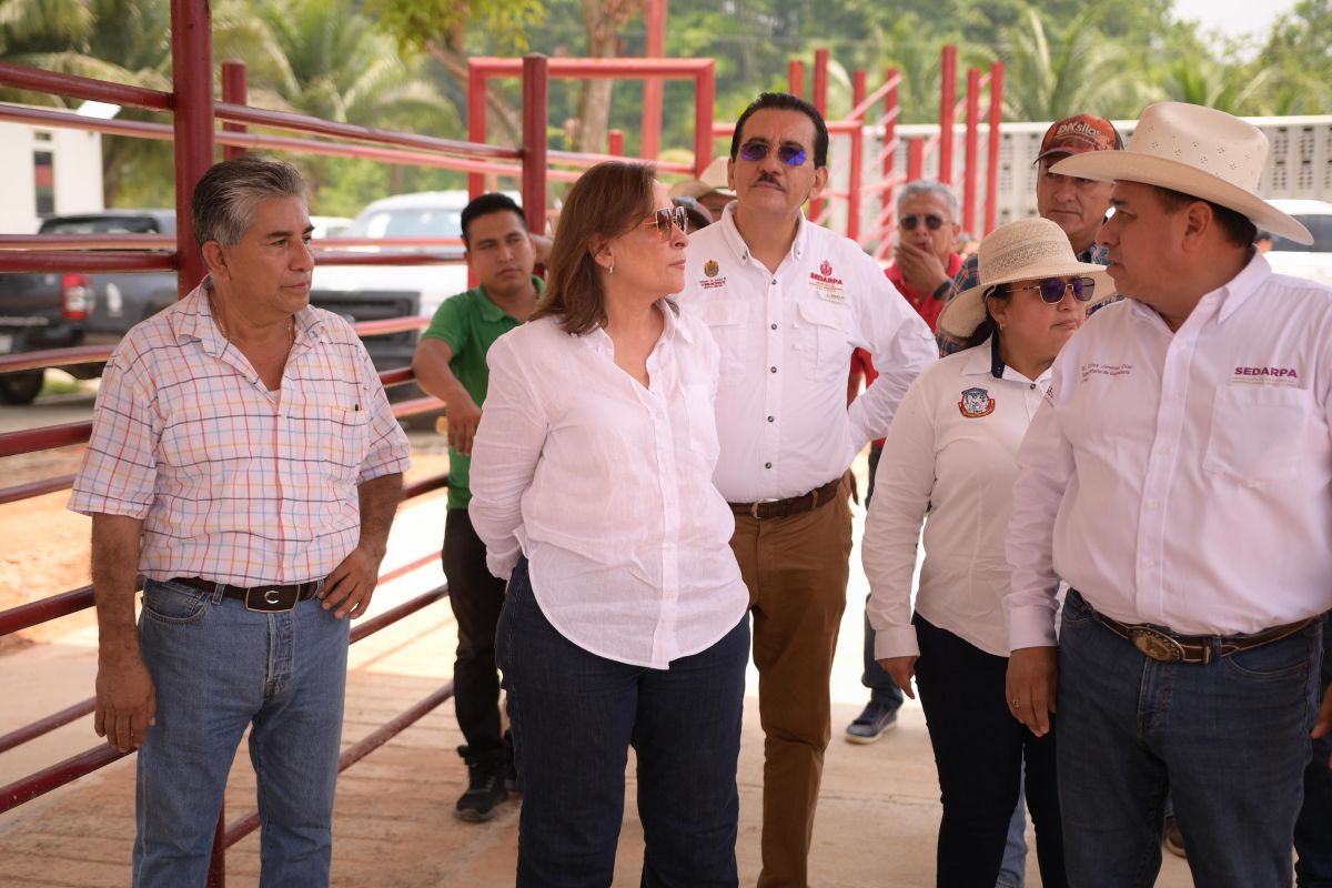 En marcha, camionetitas de sanidad animal: Nahle