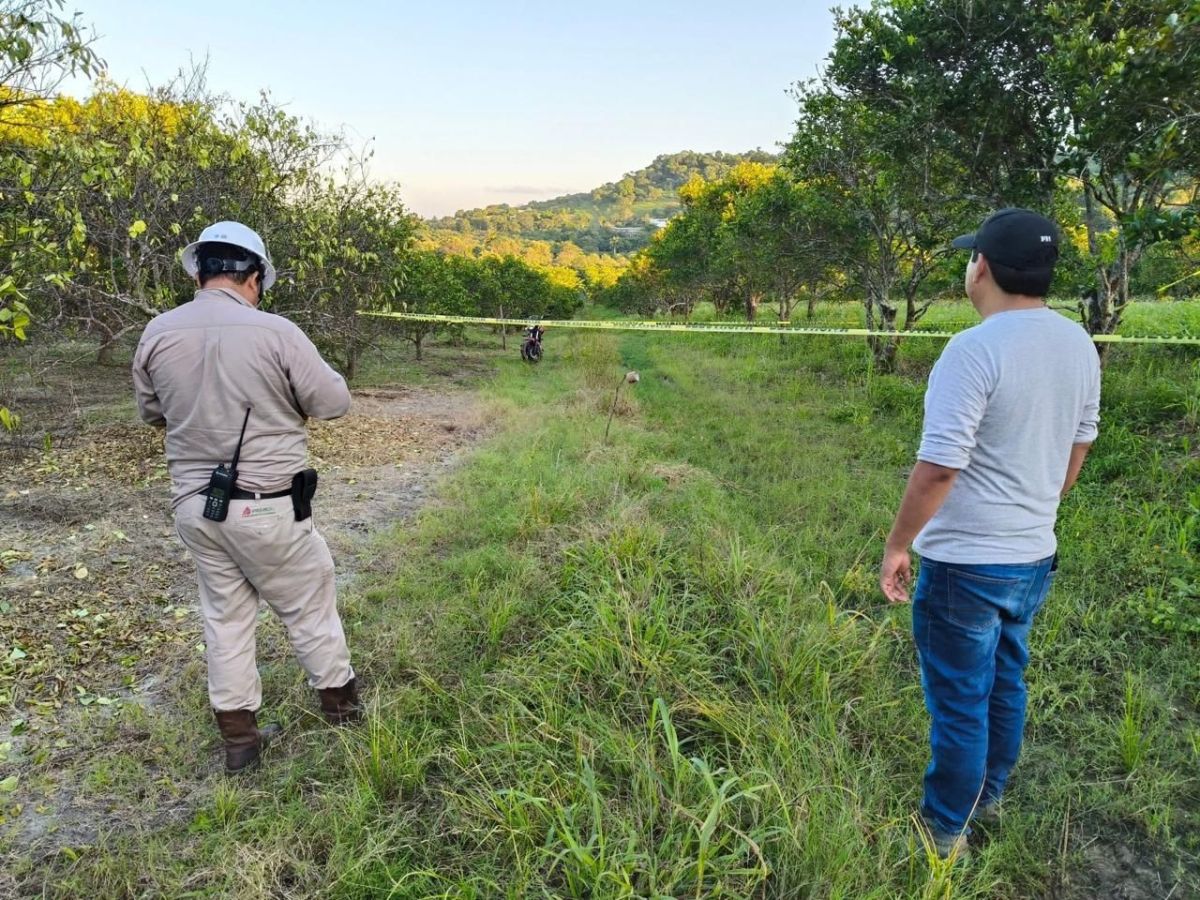 Controla Pemex fuga de gas Controla Pemex fuga de gas