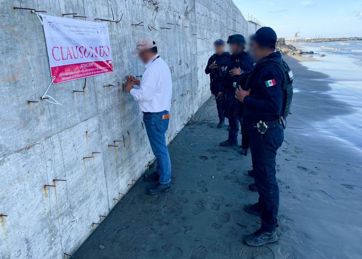 Profepa clausura obra en la playa Profepa clausura obra en la playa