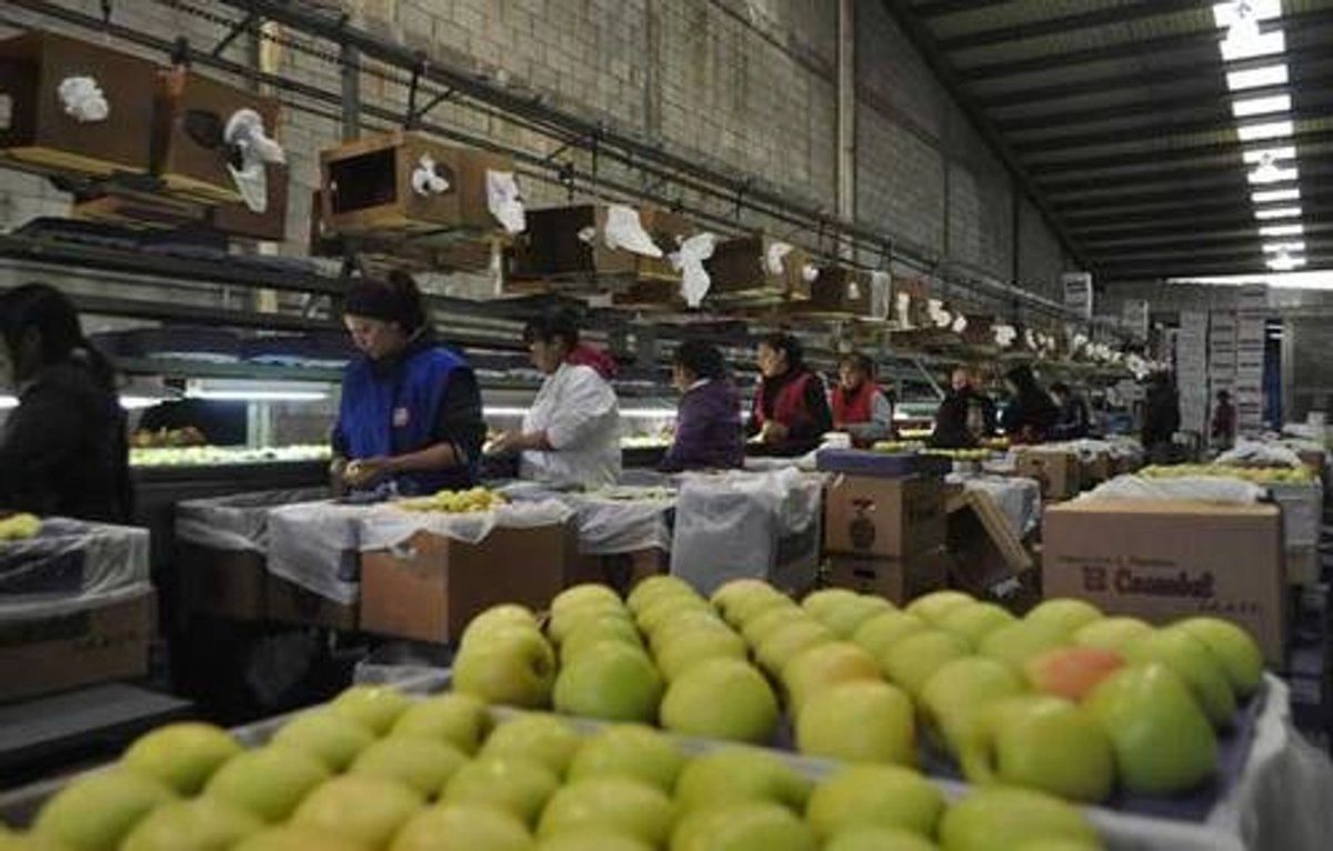 SE inicia investigación 'antidumping' a manzanas importadas