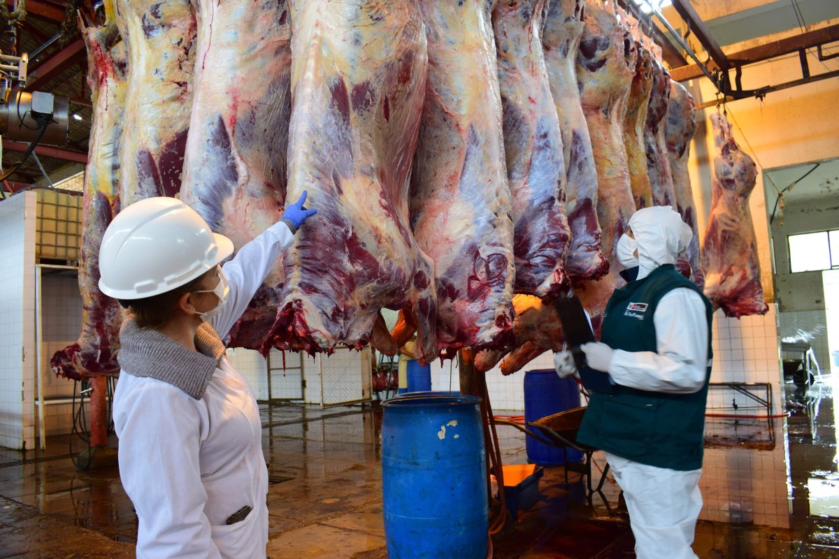 Refuerzan control sanitario en cárnicos