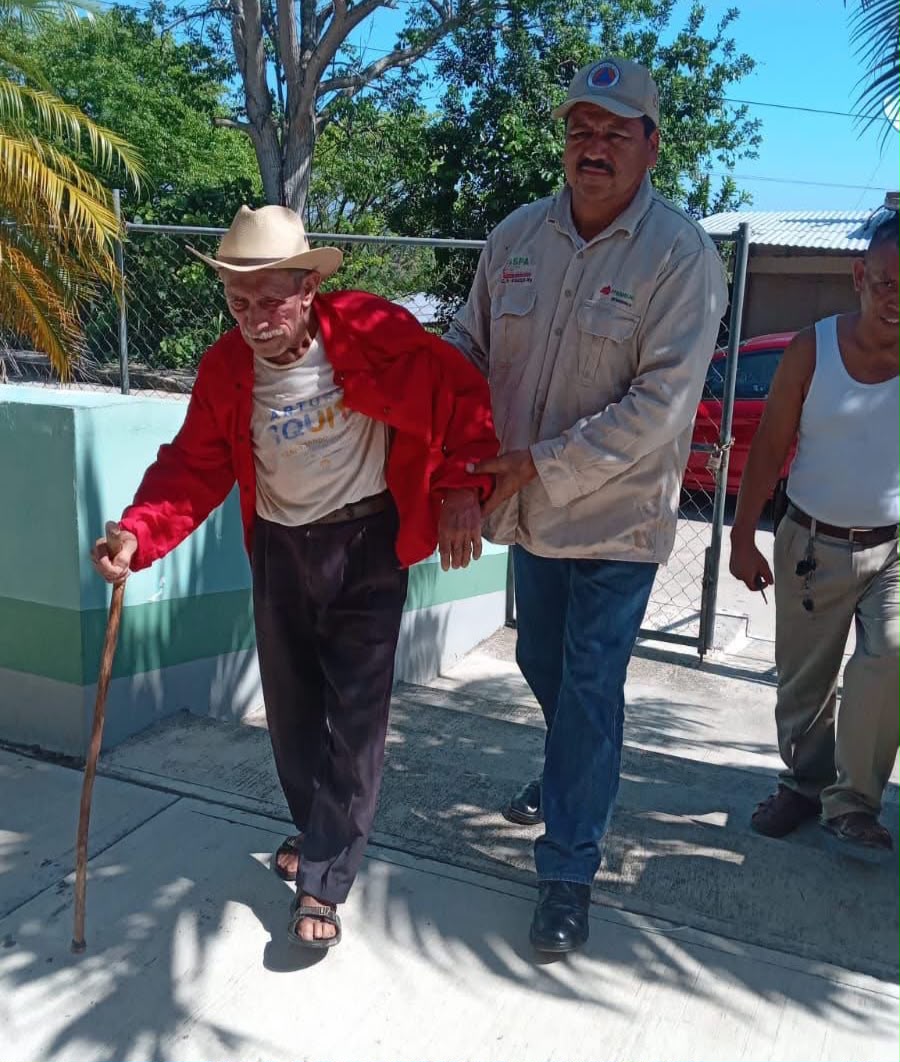 Ataque de abejas deja un lesionado Ataque de abejas deja un lesionado