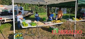 Productos orgánicos en Tianguis Campesino