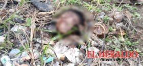 Localizan cabeza humana Localizan cabeza humana